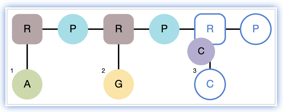 images/download/attachments/1806040/RNA_append_nucleotide.png