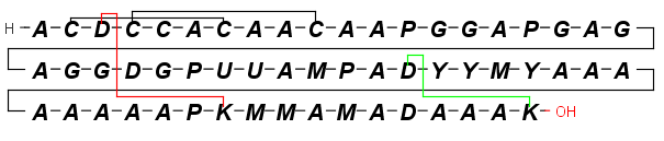 images/download/attachments/5317894/peptide_bridge.png