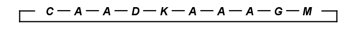 images/download/attachments/5317894/peptide_cycle.png