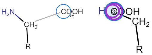 images/download/attachments/20417384/Connecting_Abbreviated_Group_to_Another_Structure.png