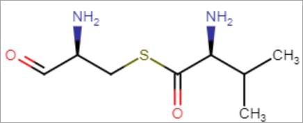 images/download/attachments/20417401/Peptides_Canvas_Clean2_3.png