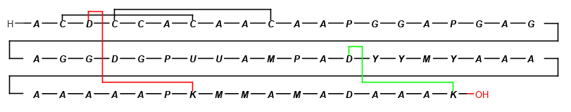 images/download/attachments/20425256/Peptide_Bridges_Colored.png